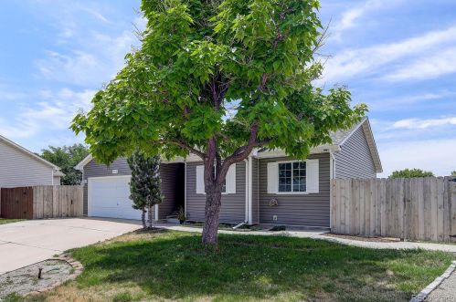 3038 Hawk Dr, Greeley CO  80620-9543 exterior