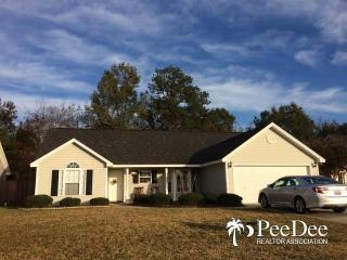 2116 Tillers Plow Row, Effingham SC  29541-4928 exterior