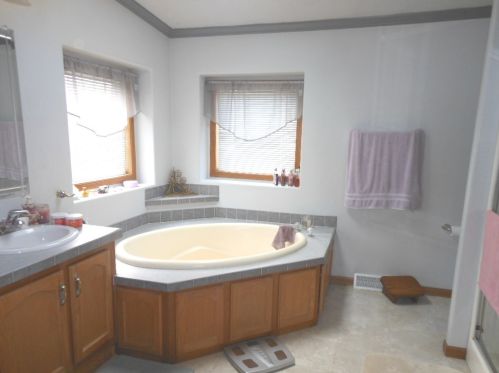 209 Hibiscus Cir, Matteson IL  60443-2888 exterior