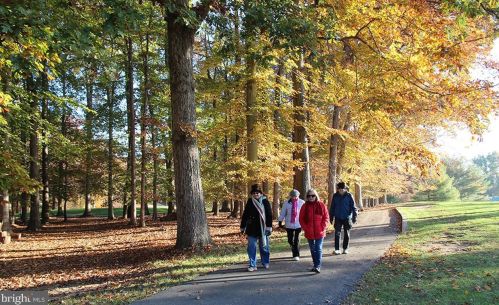 3531 Twin Branches Dr, Silver Spring MD 20906-1452 exterior