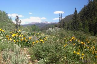 29800 County Road 64, Clark, CO 80428-9705