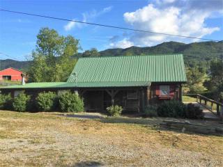 959 Browns Chapel Rd, Parrottsville, TN 37843-3235