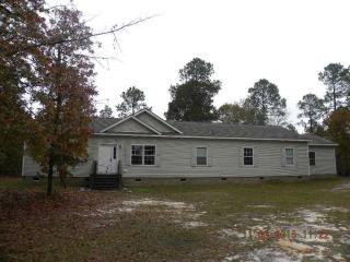 385 Leaning Tree Rd, Pelion, SC 29123-9042