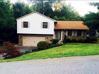 3203 Lemley St, Morgantown WV  26508-9188 exterior