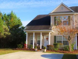 142 Broad River Dr, Summerville SC  29485-9051 exterior