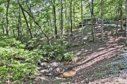 635 Denny Ridge Rd, Big Canoe, GA 30143-5610
