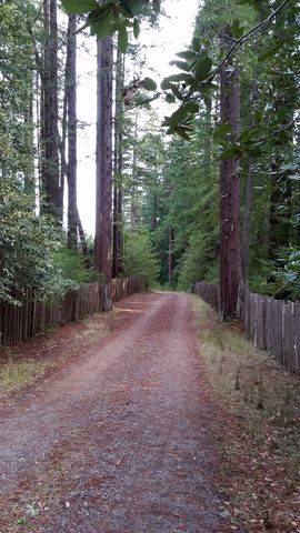 35084 Forest Ct, The Sea Ranch, CA 95445-9594