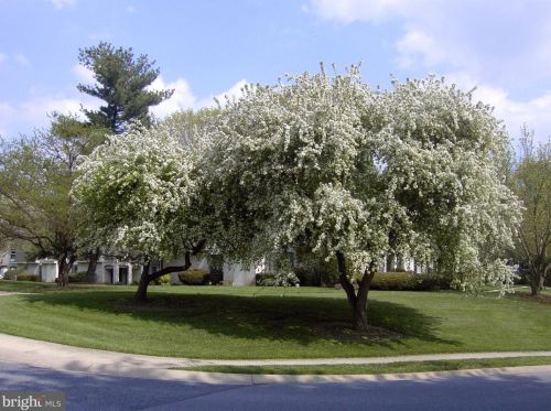 45 Valleybrook Dr, Lancaster PA  17601-4612 exterior