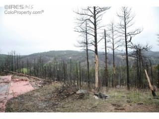 548 Walking Wind Dr, Bellvue CO  80512 exterior