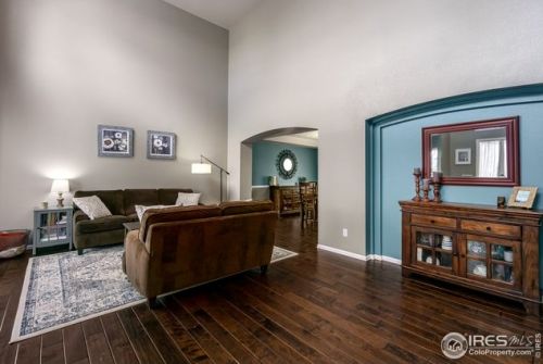 513 Idalia Ct, Fort Collins CO  80525-7011 exterior