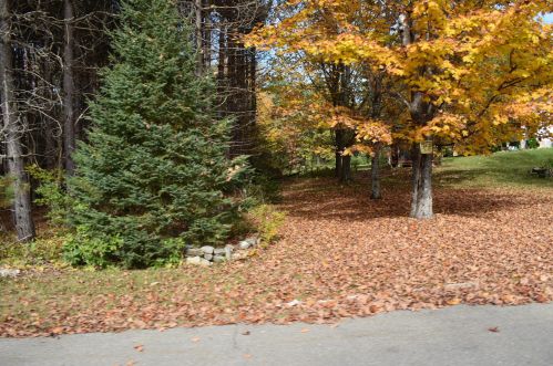 126 Back Settlement Rd, Molunkus Township, ME 04459-3008