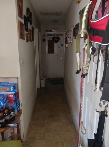 977 Cheswick Dr, San Jose, CA 95121-2810