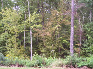 16 Ridgeway Dr, Cataula, GA 31804-2645