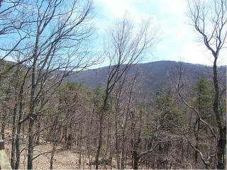 4329 Shadowick Mountain Rd, Big Canoe, GA 30143