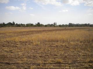 7349 Tollhouse Rd, Clovis, CA 93619-9750