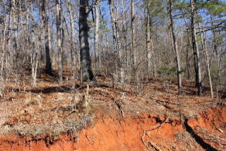 444 Riverview Dr, Ellijay, GA 30540-0054