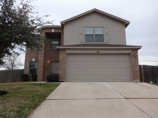 113 Hays Forest Cv, Webberville TX  78621-5823 exterior
