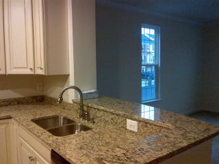 22875 Lacey Oak Ter, Dulles VA  20166-7808 exterior
