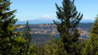 7268 Shasta Forest Dr, Shingletown, CA 96088-9425