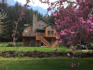 37840 Upper Nestucca River Rd, Beaver, OR 97108-9753