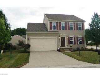 3095 Landing Ln, Aurora, OH 44202-8154