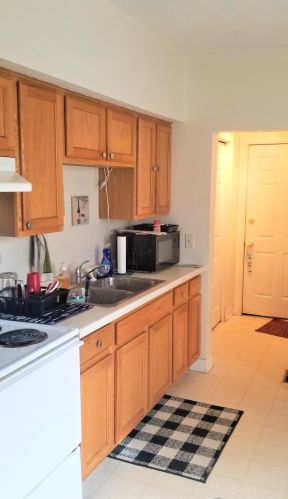 934 Juno Ave, Saint Paul MN  55102-3713 exterior
