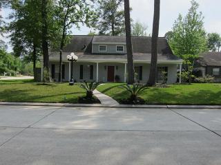 203 Hickory Ridge Dr, Spring TX  77381-1106 exterior