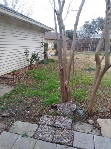 2713 Timberleaf Dr, Carrollton, TX 75006-2102