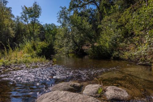 6974 Morning Canyon Rd, Swansboro Country, CA