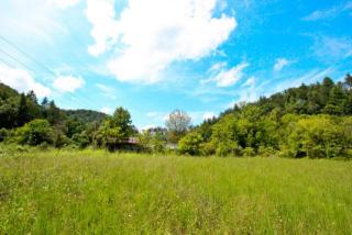 3663 Wilhite Rd, Pigeon Forge, TN 37876-7106