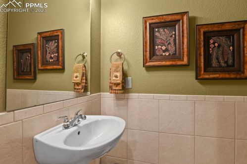 133 Elk Grove Ln, Woodland Park CO 80863-9171 exterior