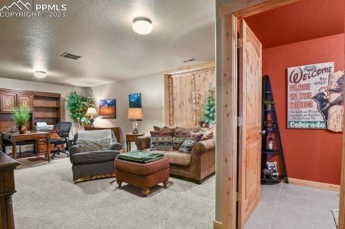 133 Elk Grove Ln, Woodland Park CO 80863-9171 exterior