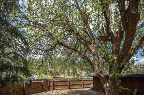 10152 Church St, Truckee CA  96161-0309 exterior