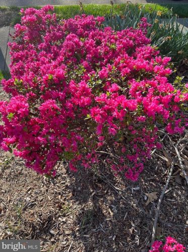 5707 Oak Leather Dr, Springfield VA  22015-2315 exterior