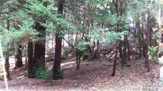 1866 Lupine Way, Willits, CA 95490-8440