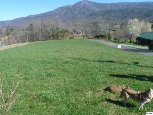 3140 Westover Dr, Pigeon Forge, TN 37862-8665