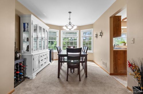 1080 Birchbark Trl, Carol Stream IL  60188-9186 exterior