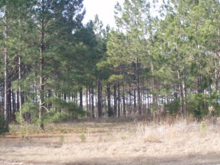 2526 Tuscan Way, Valdosta, GA 31601-6840