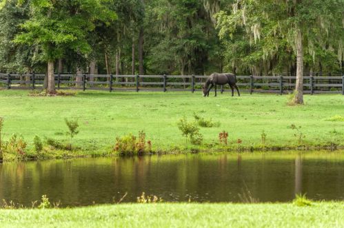 5435 John Mack Ln, Wadmalaw Is SC  29487-7122 exterior