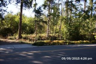 21195 Viking Way, Breidablick, WA 98370-9483