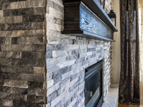 284 Sakata St, Denver CO  80601-4625 exterior