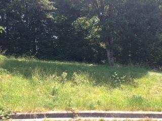 101 18th Ave, Battle Ground, WA 98604-4611