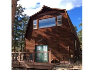 694 Jacob Dr, Bailey, CO 80421-1895