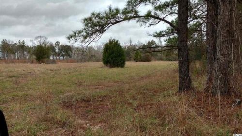 100 Mingo Chandler Rd, Nesmith, SC 29580-3007