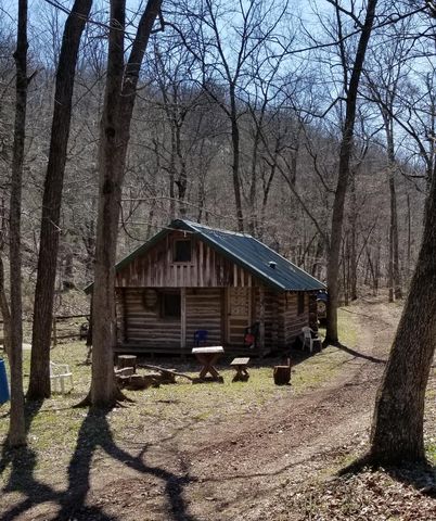 3655 Cowan Ridge Rd, Powell, MO 65730