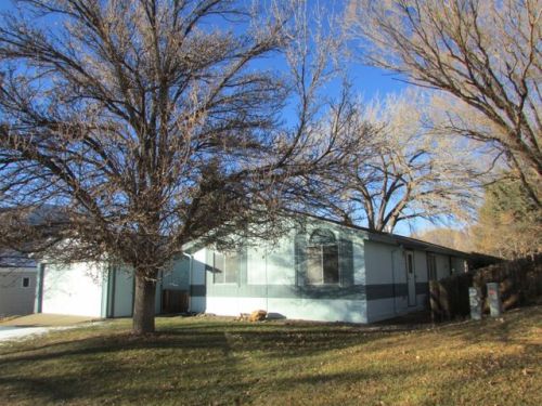 45 Bonanza Pl, Parachute, CO 81635-9003