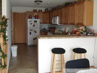 1602 Patriot Ln, Minnetrista, MN 55387