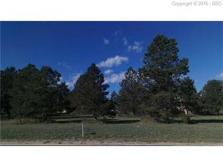 19720 Furrow Rd, Woodmoor, CO
