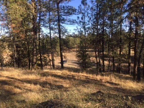 26127 Carman Ln, Amber, WA 99004-8738