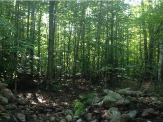 121 Fletcher Rd, Unity, NH 03773-6615